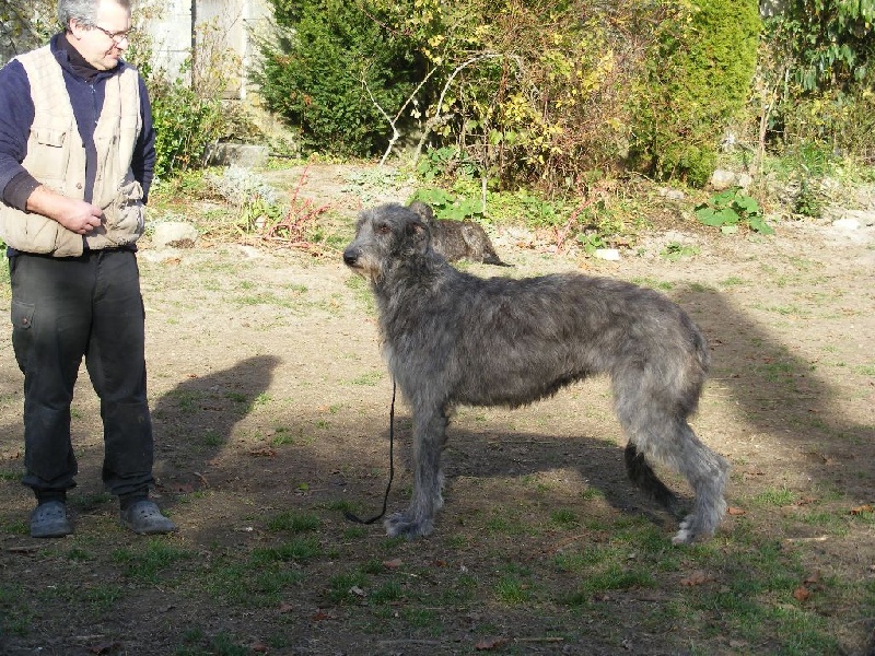 CH. Cs jesusita du Triple Bois