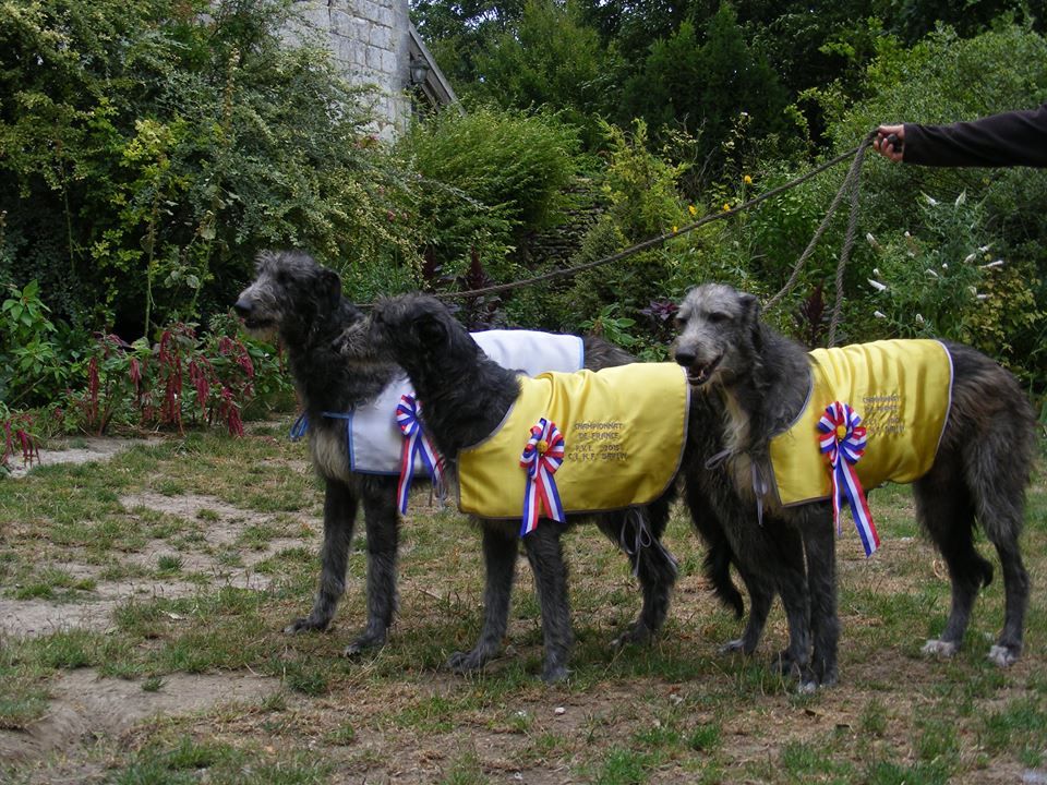 du Triple Bois - Championnat de France Poursuite à Vue sur Leurre